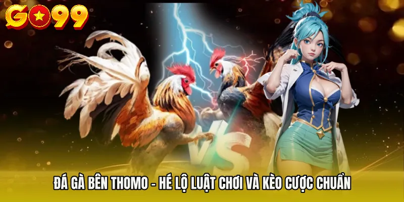 Đá Gà Bên Thomo - Hé Lộ Luật Chơi Và Kèo Cược Chuẩn 5 Đá Gà Bên Thomo - Hé Lộ Luật Chơi Và Kèo Cược Chuẩn